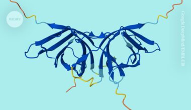 the AI database now includes protein pairing