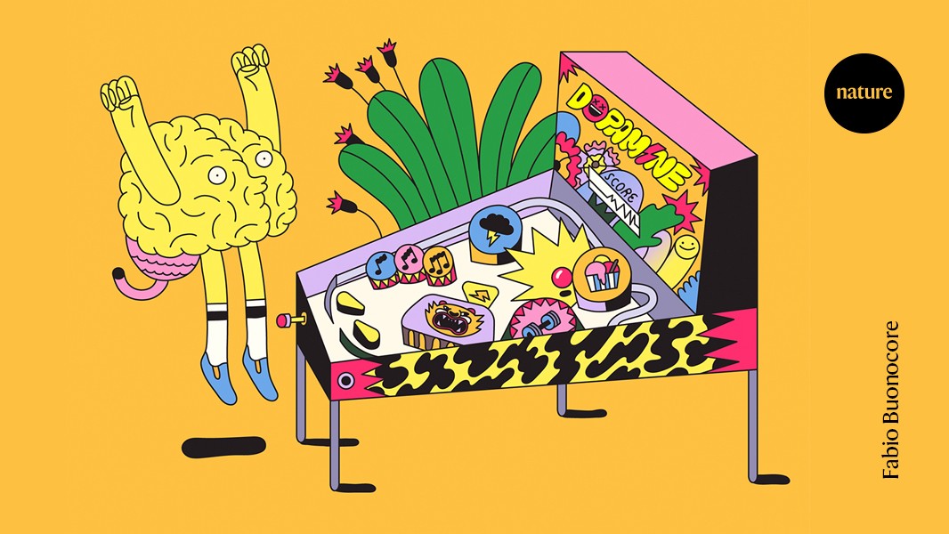 how neuroscience is rethinking the ‘feel-good’ chemical