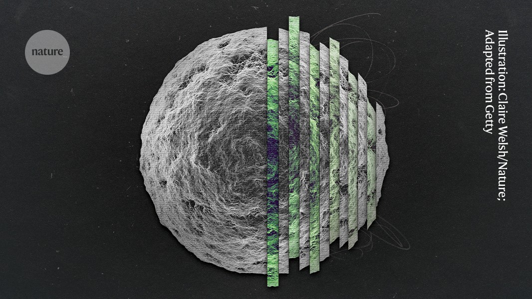 dissecting the body’s battle to keep selfish genes in check