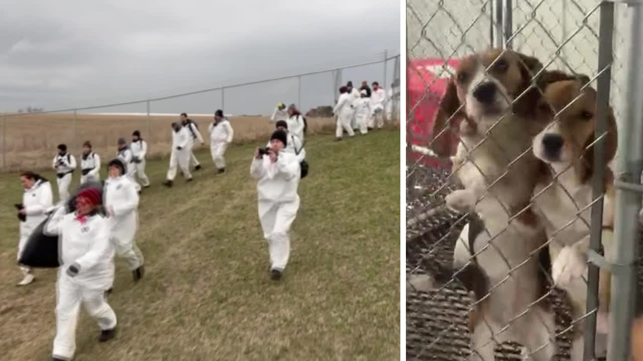 Ridglan Farms break-in, animal rights activists storm facility