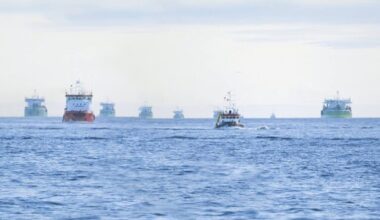 BREAKING NEWS: DEME acquittal in Sabetta bribery case becomes final