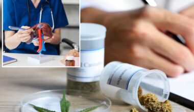 Cannabis compounds could reverse disease affecting one-third of adults