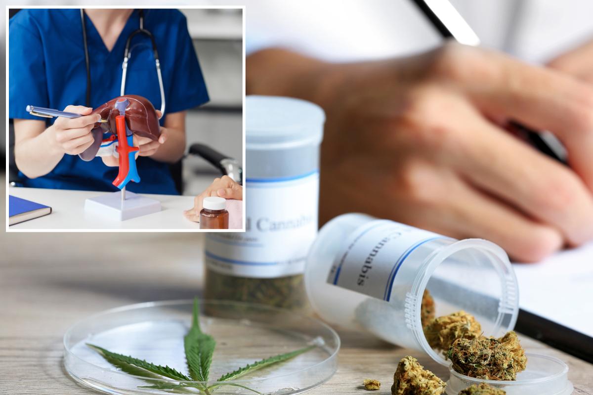 Cannabis compounds could reverse disease affecting one-third of adults