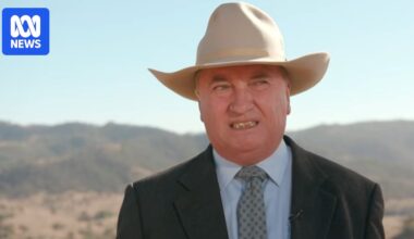 Barnaby Joyce regrets not doing more to shore up fuel stockpile, amid inflation fears