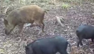 Yahoo lifestyle home