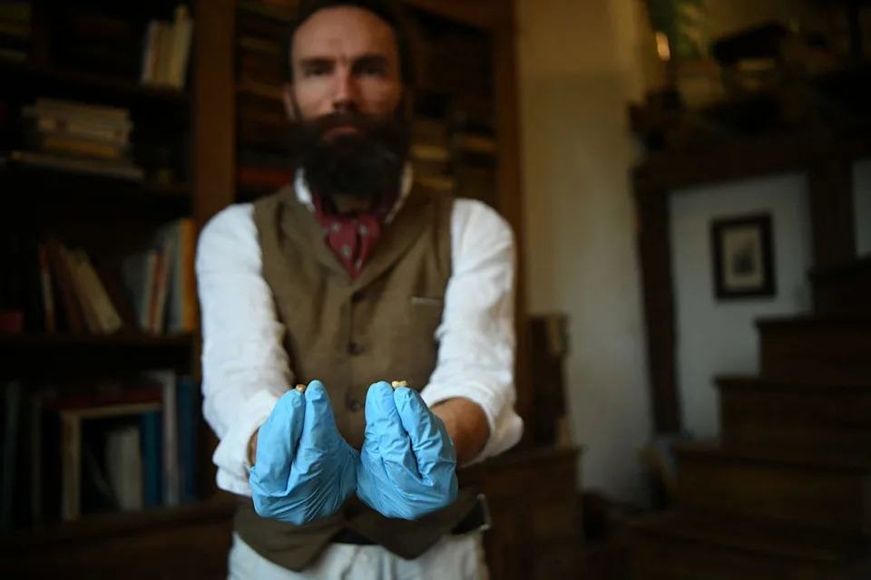 france archaeology palaeontology