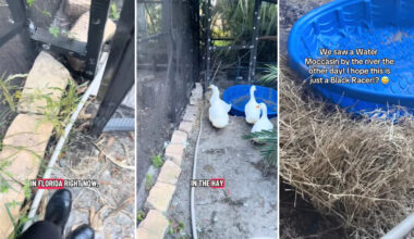 Yahoo lifestyle home