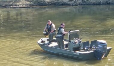 Bald Eagle okay after caught in fishline along Haw River :: WRAL.com