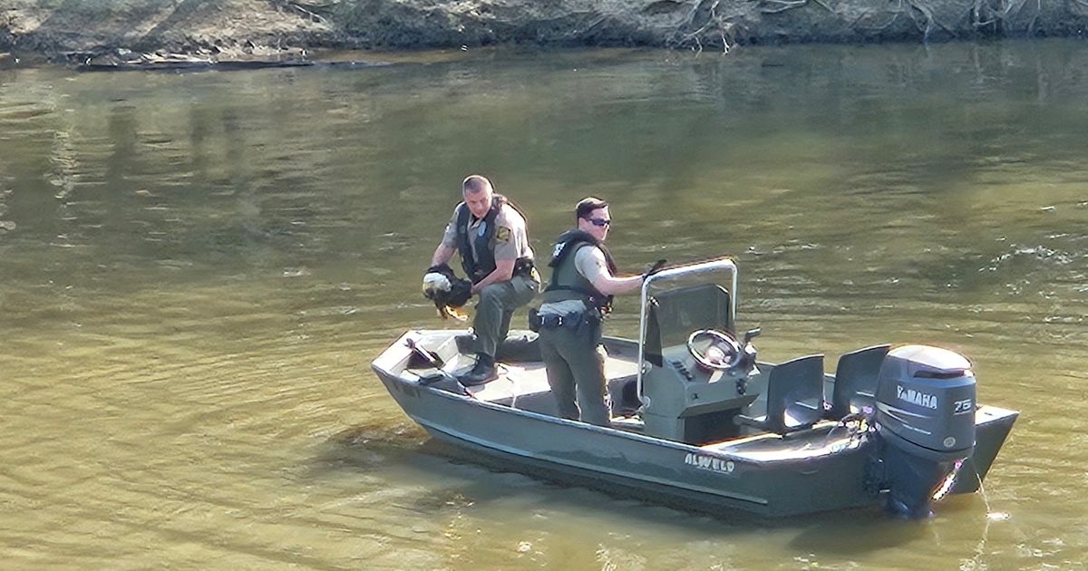 Bald Eagle okay after caught in fishline along Haw River :: WRAL.com