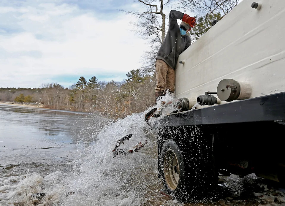 A person standing on a giant truck by the water, stocking a pond with nonnative rainbow trout