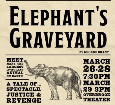 Elephant's Graveyard Graphic with a drawing of an elephant blowing their trunk in the air.