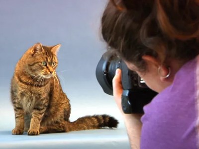 A Photographer Duo Helps Animals Find Homes [295]
