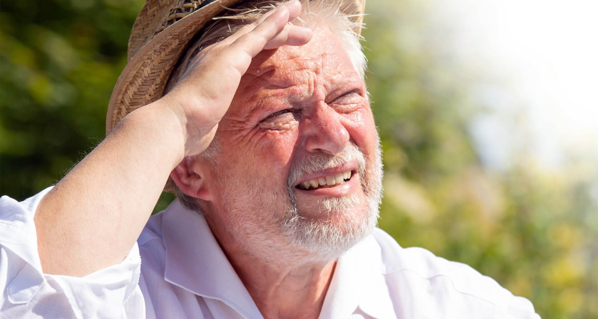Extreme heat accelerates the aging process at the cellular level