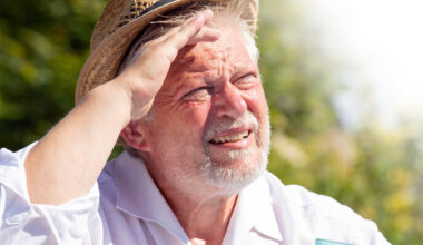 Extreme heat accelerates the aging process at the cellular level