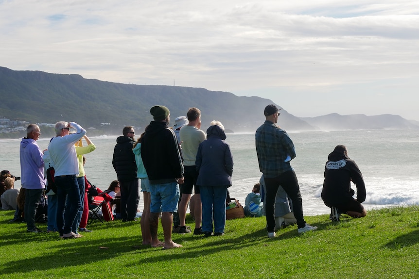 A group of people sitting and standing on grass watching the waves.