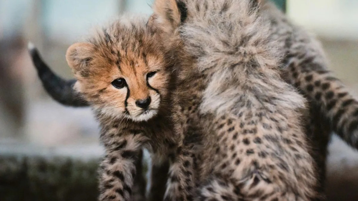 Yahoo lifestyle home