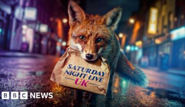 Saturday Night Live UK is here - but can it make you laugh? - BBC