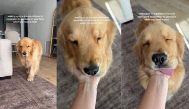 Yahoo lifestyle home