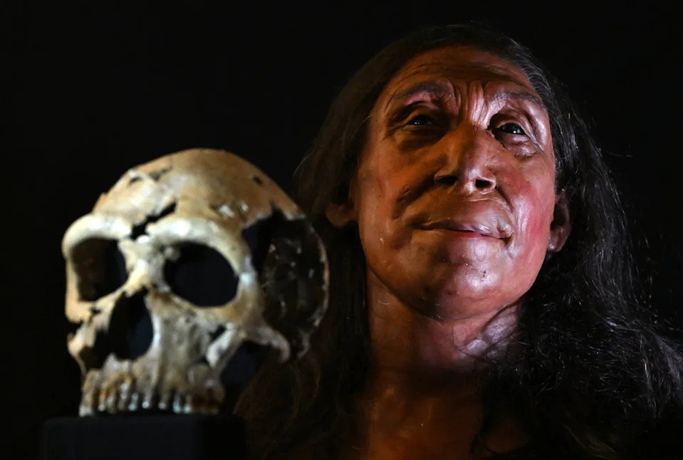 Rebuilt skull and physical reconstruction of the face and head of a 75,000-year-old Neanderthal woman (AFP via Getty)