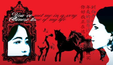 Gazing Into a Very Chinese Mirror