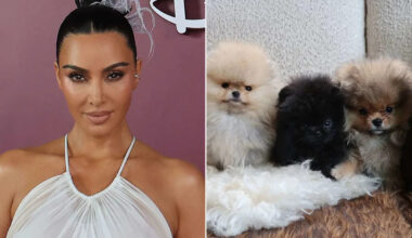 Kim Kardashian Shares Photos of 4 Puppies She Got as Christmas Gifts for Her Kids, Weeks After PETA Slammed Her