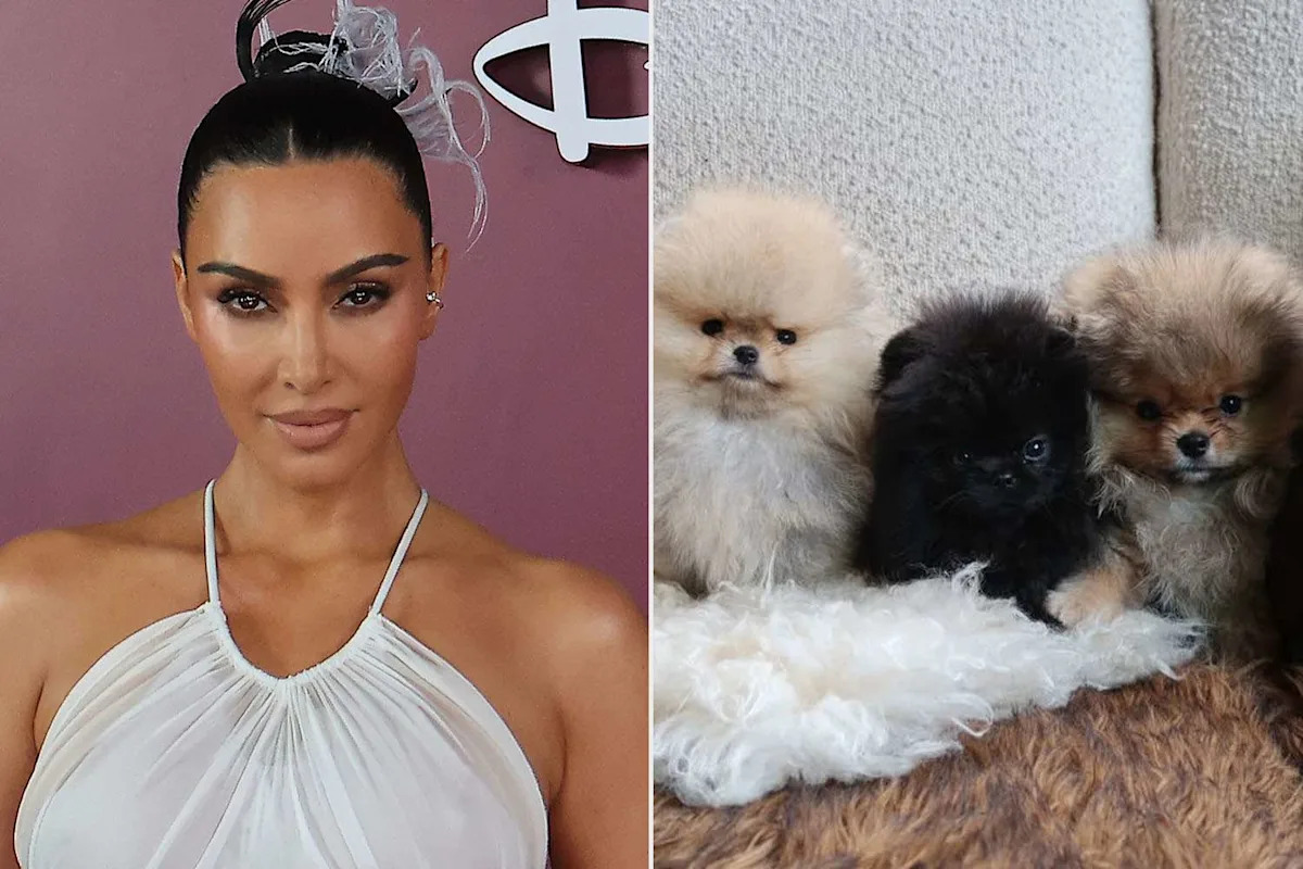 Kim Kardashian Shares Photos of 4 Puppies She Got as Christmas Gifts for Her Kids, Weeks After PETA Slammed Her