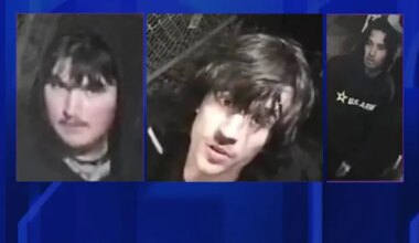 News 12 | Long Island