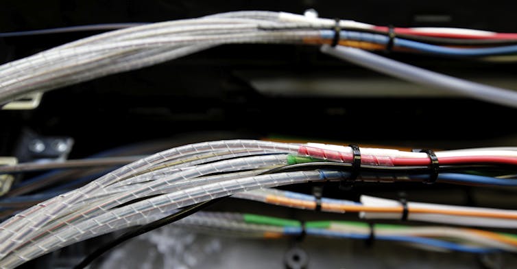 Glass fibers, housed inside narrow cables inside a box.