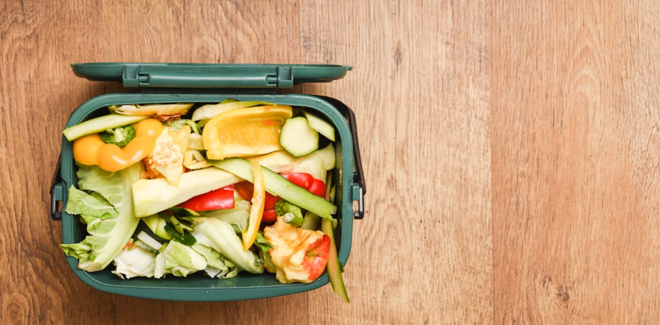As that new food caddy lands, here’s how to reduce waste – not just recycle it
