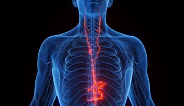 Vagus nerve stimulation shows promise as a way to counter Alzheimer’s disease- and age-related memory loss