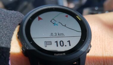 Talk to your Garmin data: New AI for smartphones connector nears launch