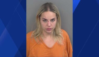 Deputy stopped driver before deadly wrong-way crash in Collier