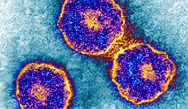 Measles is not the only disease on the rise. Mumps also may be making a comeback