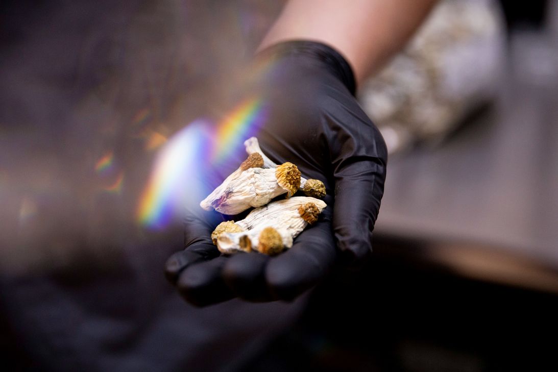 Psilocybin is the psychedelic compound in