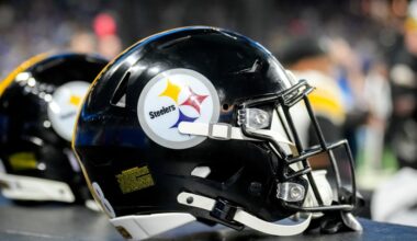 Pittsburgh Steelers release veteran offensive lineman