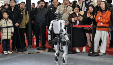 Woman hospitalized after being startled by humanoid robot: "Are you crazy?"