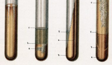 The world’s deadliest infectious disease is on the rise in the US