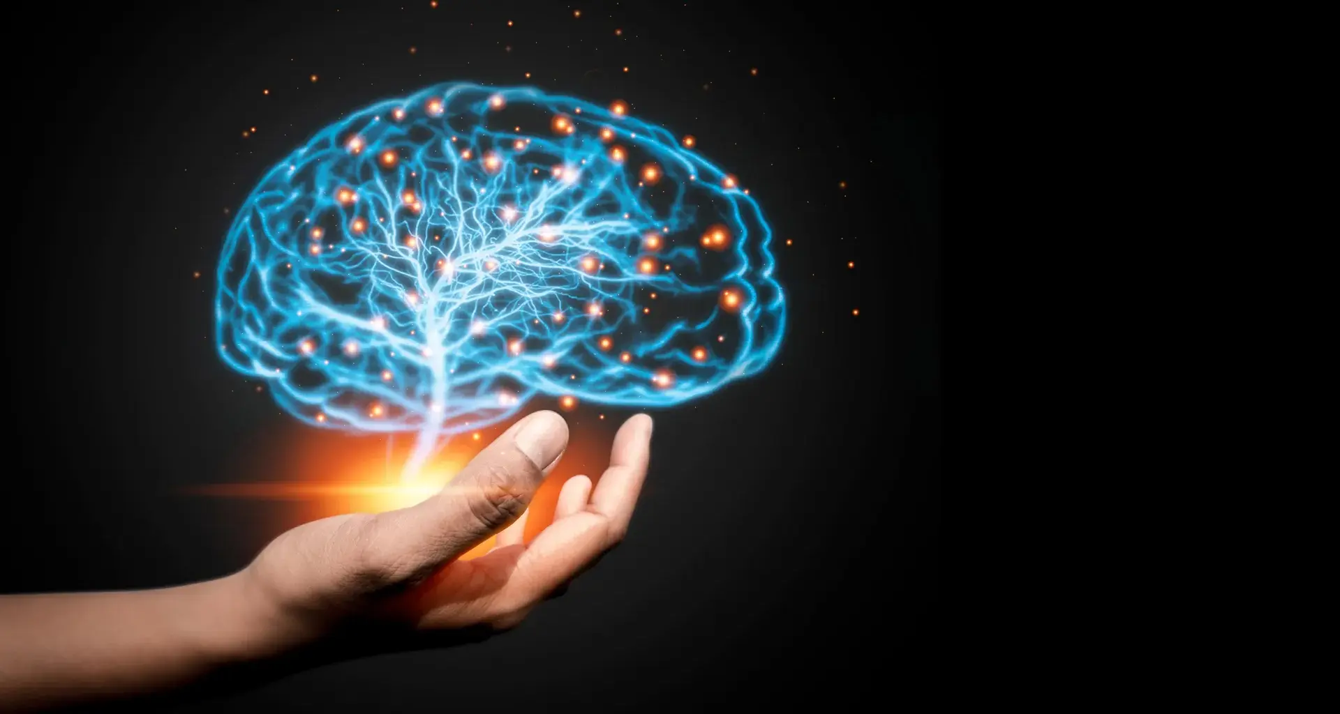 Scientists discover a hidden force that helps wire the brain