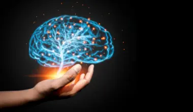 Scientists discover a hidden force that helps wire the brain