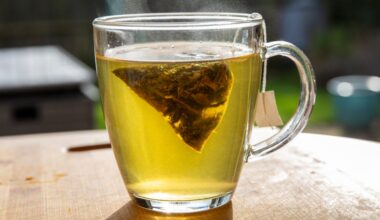 What Happened to My Body When I Drank Green Tea Every Day