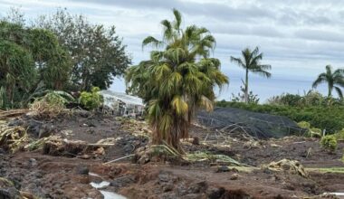 Kona low devastates 176-year-old coffee farm on Big Island : Big Island Now
