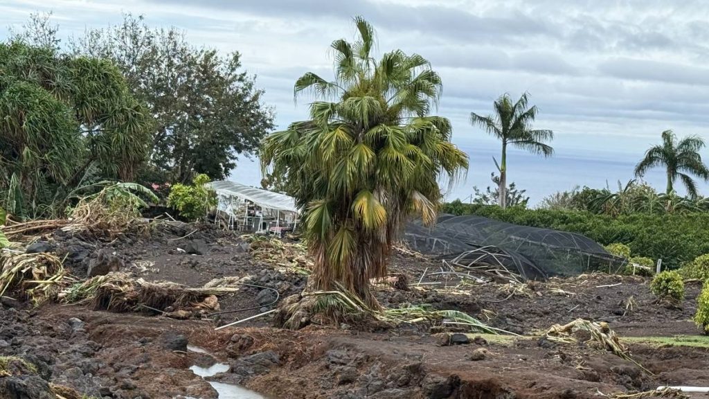 Kona low devastates 176-year-old coffee farm on Big Island : Big Island Now
