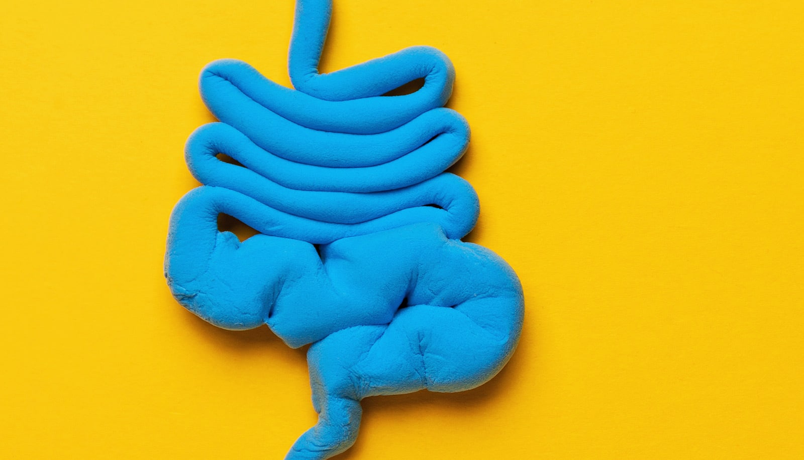 High-fat diets let gut bacteria enter the brain