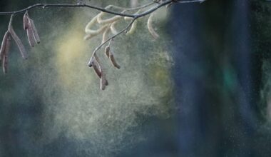 Pollen Might Be Hurting Kids' Test Scores