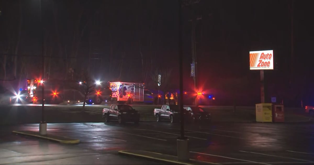 Pedestrian killed in hit-and-run crash on William Penn Highway in Wilkins Township – WPXI