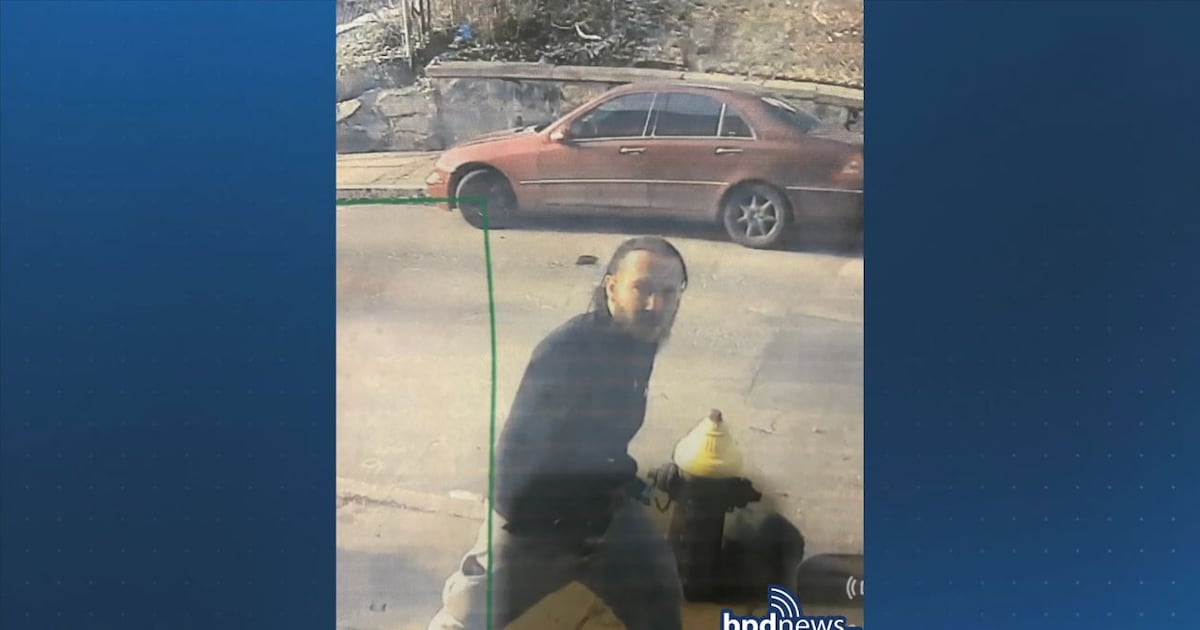 Boston police looking for public’s help in breaking and entering investigation in Roxbury – Boston 25 News