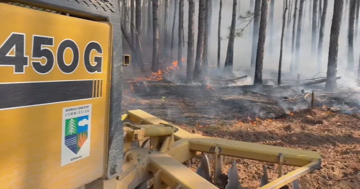 Worst drought in 10 years fuels north Georgia wildfires – WSB-TV Channel 2