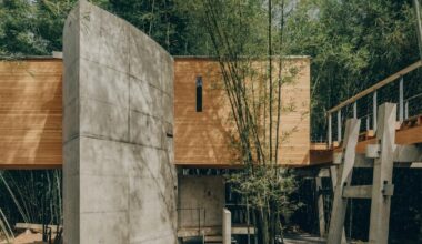 bridge-inspired micro-museum emerges from bamboo grove in china