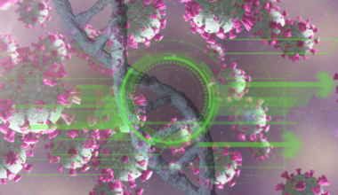 Recent Pandemic Viruses Jumped to Humans Without Prior Adaptation, UC San Diego Study Finds