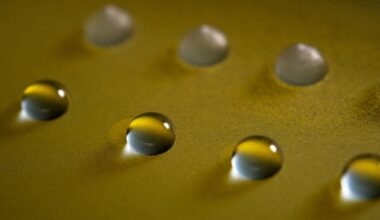 This Fungus Can Make Water Freeze